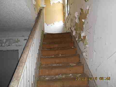 18103 Cardoni (14)_m.jpg